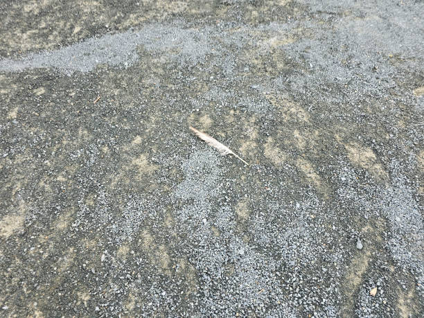 istock Feather in gravel 2192729945