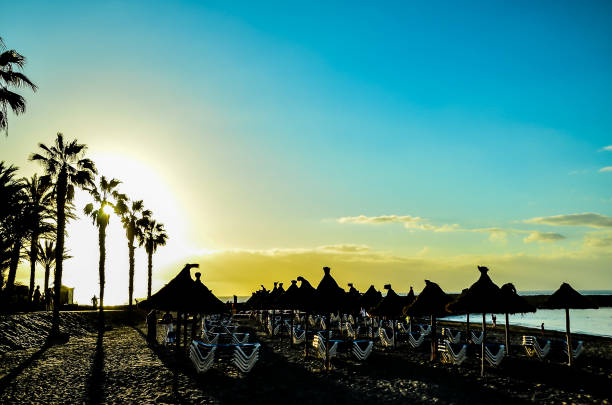 A beach with a lot of umbrellas and chairs. The umbrellas are all closed and the chairs are empty. The beach is empty and the sky is blue