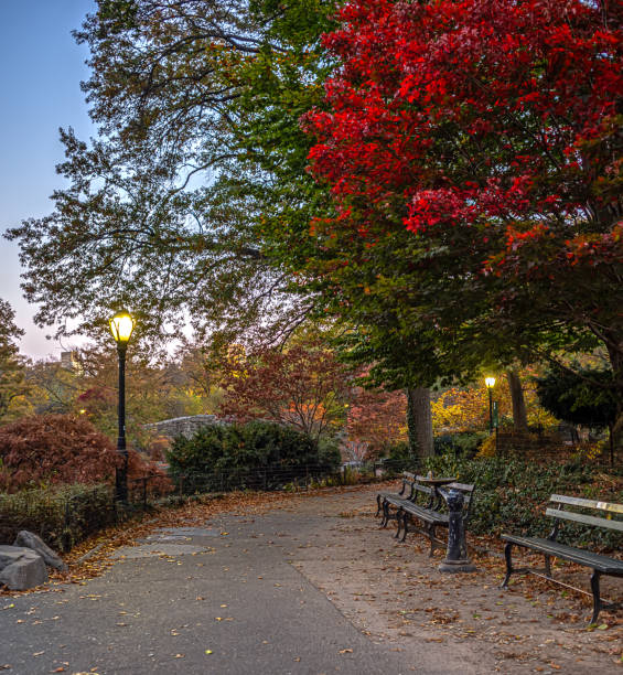 istock Gapstow Bridge in Central Park, late autumn 2192735186