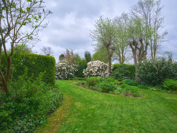 istock Tranquil garden in Denmark with lush greenery and vibrant shrubs 2192736891