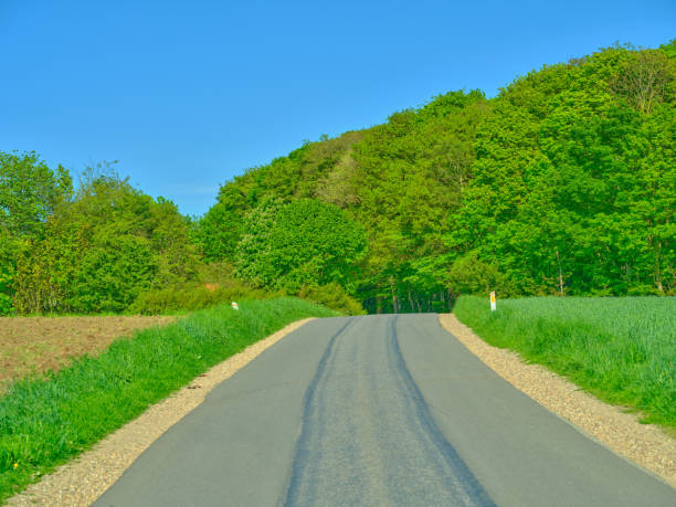 A peaceful rural road curves through a verdant forest with fields on either side under a bright blue sky. Captured in the serene Danish countryside, this image evokes tranquility and simplicity.