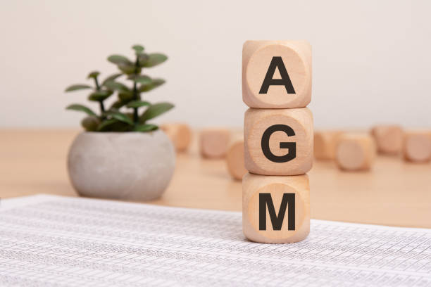 istock A collection of AGM blocks accompanied by a decorative plant placed on a table surface 2192737969