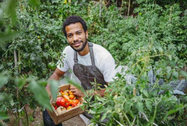 istock Joyful Diverse Gardener in Organic Garden 2192738119