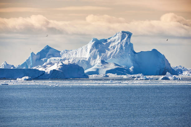 Majestic icebergs in Scandinavian waters showcasing Denmark's pristine natural scenery
