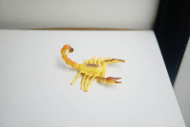 istock A toy scorpion placed on a white table, showcasing its intricate details against a clean background 2192740288
