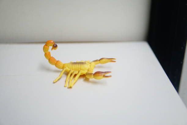 istock A toy scorpion placed on a white table, showcasing its intricate details against a clean background 2192740290