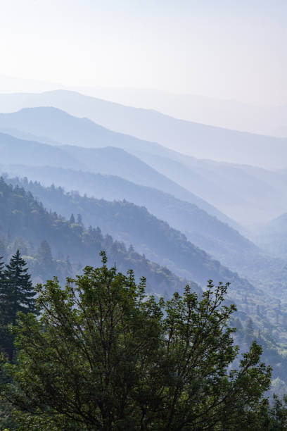 istock Oconaluftee Valley in the Great Smoky Mountains 2192742709