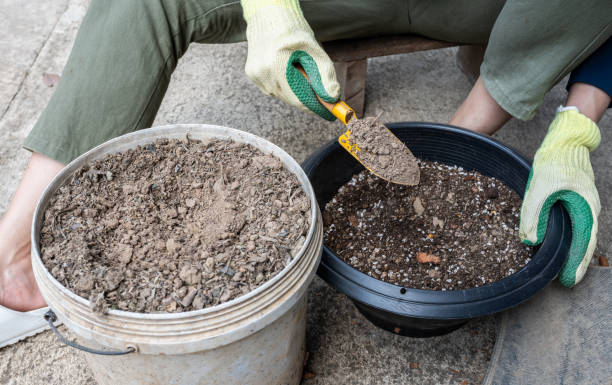 istock Gardener mixed soil for planting cactus. 2192744698