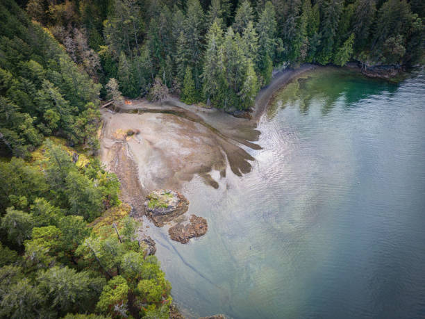Vancouver Island Wilderness Area
