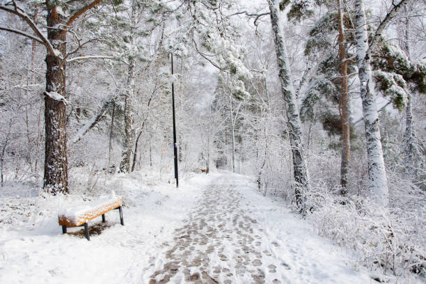 istock Landscape trees in the snow a path in a beautiful park with shoe marks after the first snow 2192745558
