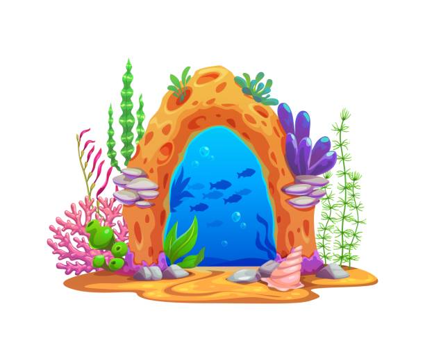 Sea Level Magic 80+ Door Magical World Stock Illustrations, Royalty-Free Vector ...