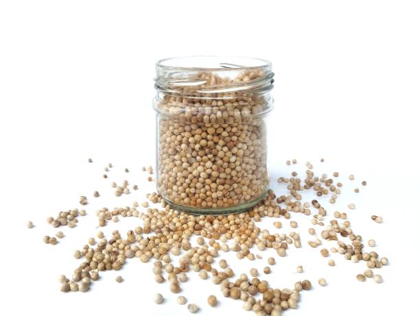 istock Fresh coriander seeds isolated on white background 2192747564