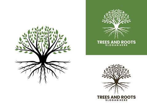 Natural Vector Tree Logo Vector Tree And Roots Logo Illustration Tree ...