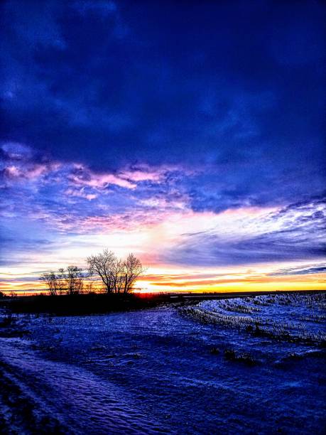 istock Farmland nature 2192750506