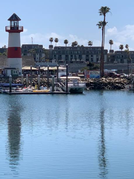 istock Harbor with Lighthouse and Palm Trees 2192750625
