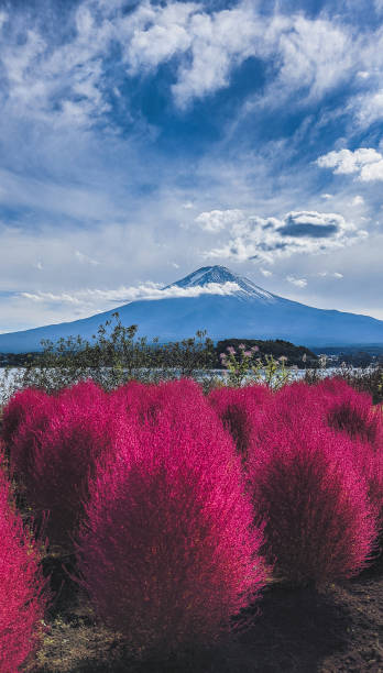istock Mount Fuji and purple flowers in the front 2192755402