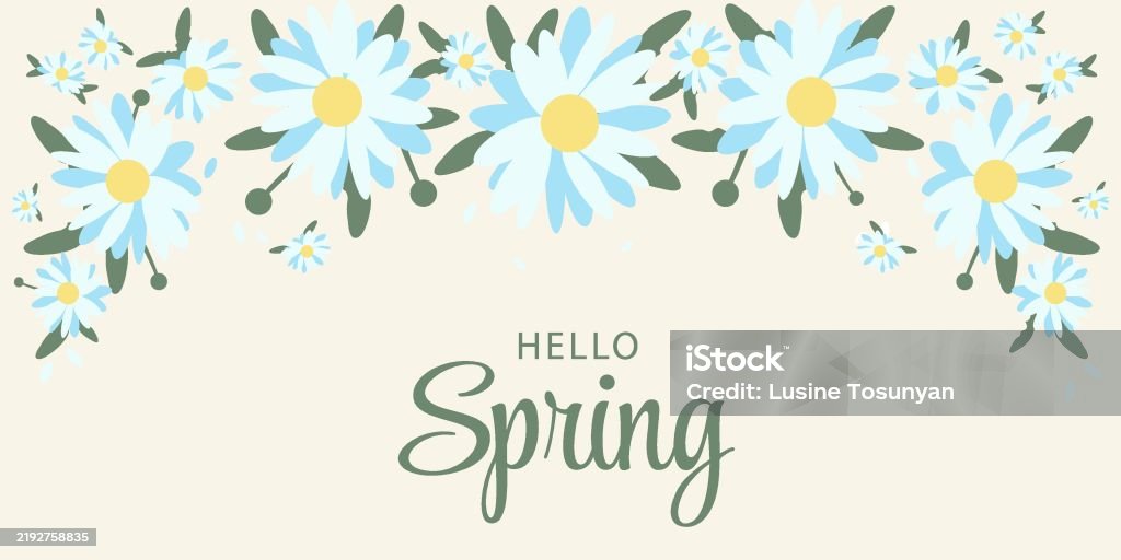 Spring Summer Background With Chamomile In Flat Style Stock ...