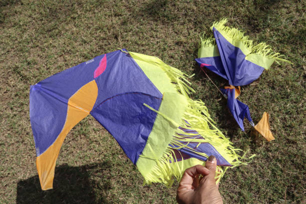 Kite fallen torn cut after kite flying. Paper kite broken during kite flying game challenge during uttarayan, makar sankranti festival