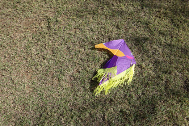 istock Kite fallen torn cut after kite flying. Paper kite broken during kite flying game challenge during uttarayan, makar sankranti festival 2192759187
