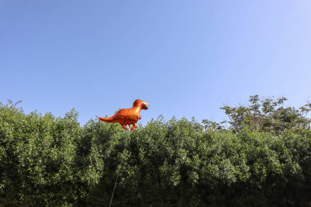 Helium foil balloon in Dinosaur shape for party decorations