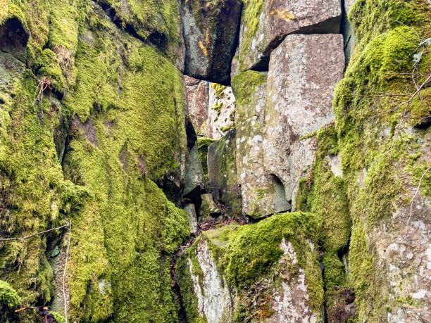 istock Rock formation in a mountain ravine with green moss 2192765719