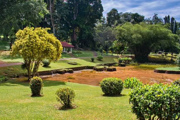 Royal Botanic Gardens, Peradeniya, Kandy, Sri Lanka