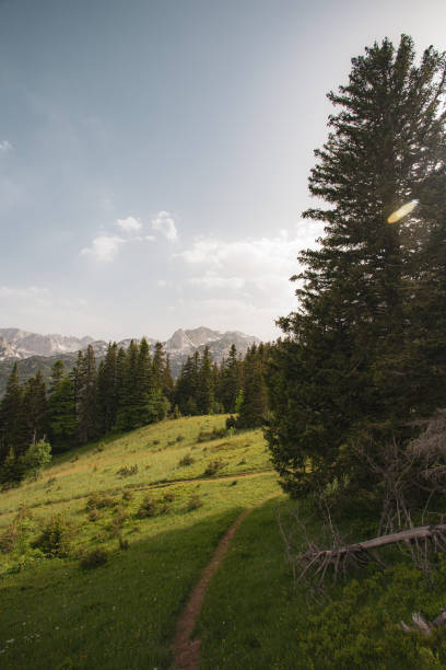istock Scenic landscape trail with mountains and trees 2192772520