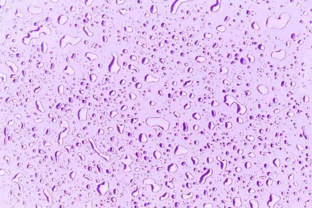 istock Water drops on purple background 2192772681