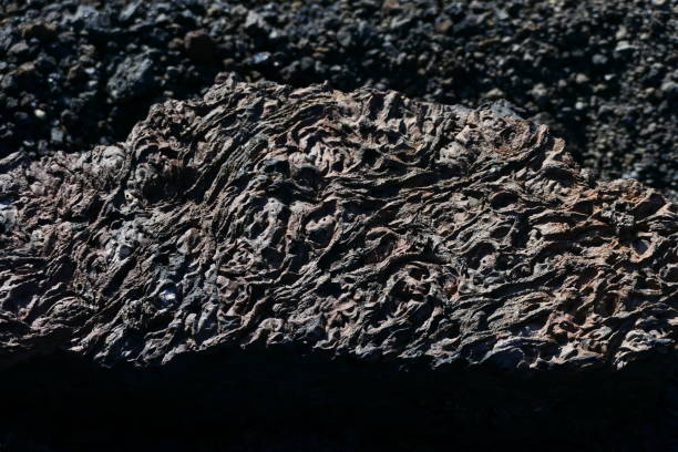 istock Solidified lava, Lanzarote 2192774696