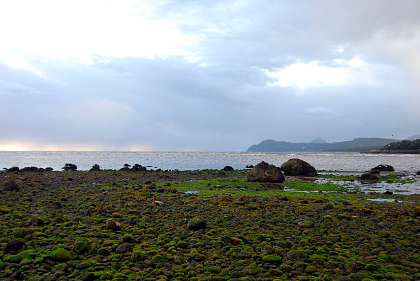 istock the coastline at the beach 2192777506