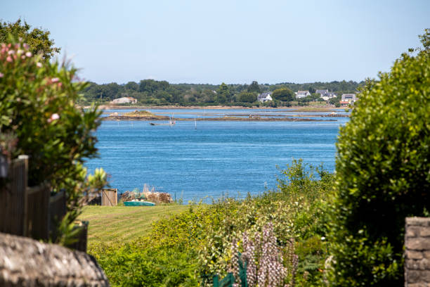 istock View of a wild sunny landscape. 2192777572