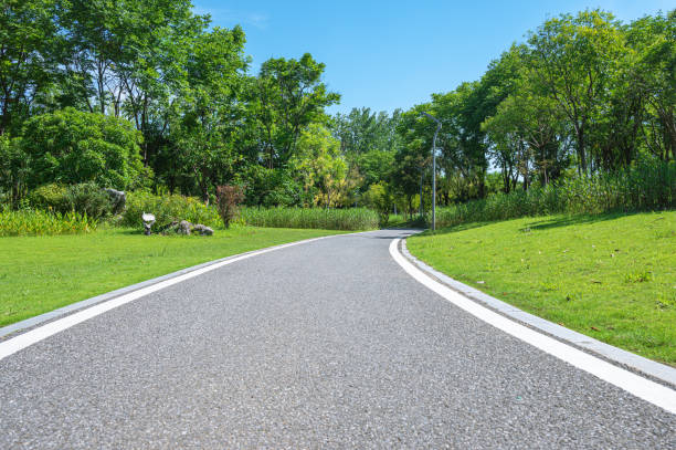 istock Curved pathway and green woods in the public park 2192778524