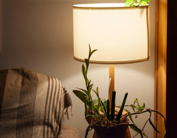 istock living room lamp 2192779491