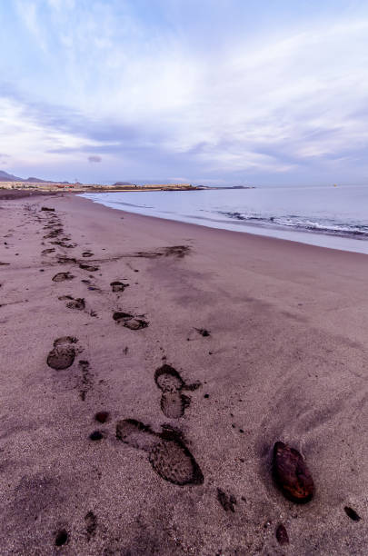 istock A beach with a cloudy sky and a rocky shoreline 2192780347