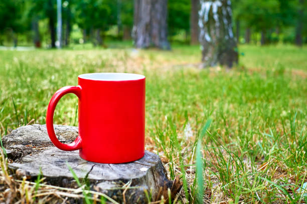 cease work or movement in order to relax, refresh oneself, or recover strength
