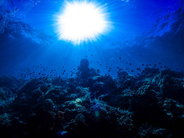 istock Submarine Diving - Underwater Photography 2192782407