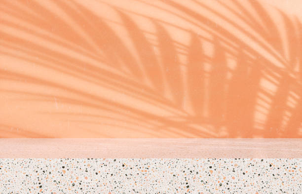 istock Beauty podium backdrop for product display with natural light beam and shadow. 3d rendering. 2192785442