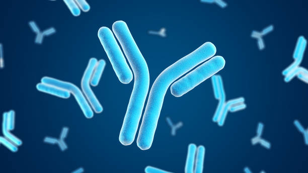 istock Antibodies. Immunoglobulins. Blue color. 2192786673