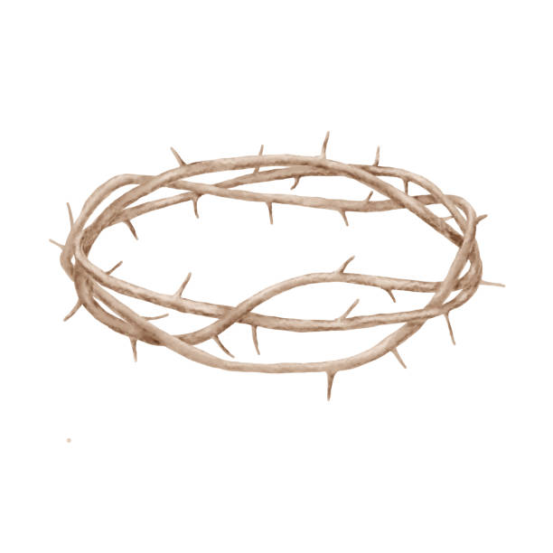 Crown of thorns on Easter and Maundy Thursday theme. Watercolor digital illustration. Religious image of the way of the cross, isolated on white background. Crown of thorns on Easter and Maundy Thursday theme. Watercolor digital illustration. Relief image of the way of the cross, isolated on white background. thorn wreath stock illustrations