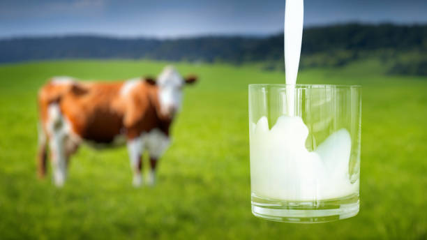 istock Filling a glass with milk. 2192788266