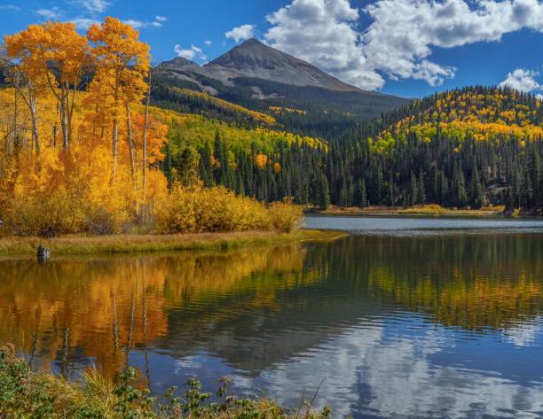 istock Scenic autumn landscape with vibrant yellow aspens. 2192788602