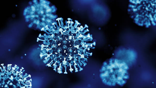 istock Human Metapneumovirus (HMPV). Cells 2192788712