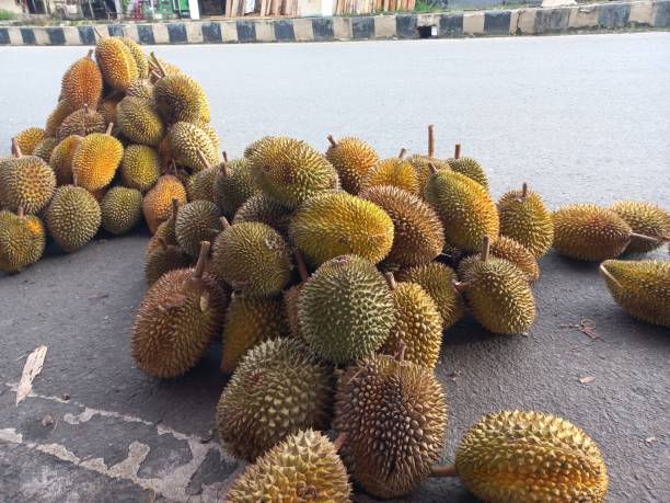 King of Fruit Asia