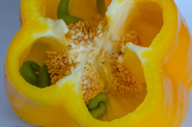 A vibrant macro shot of yellow bell pepper seeds with intricate textures and vivid green stems. Perfect for culinary or organic food projects. High-resolution close up