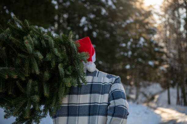 istock Man wearing a Christmas hat carrying a Christmas tree through a snowy forest 2192795247