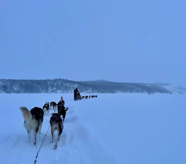istock Sledding on the Fjord 2192796726