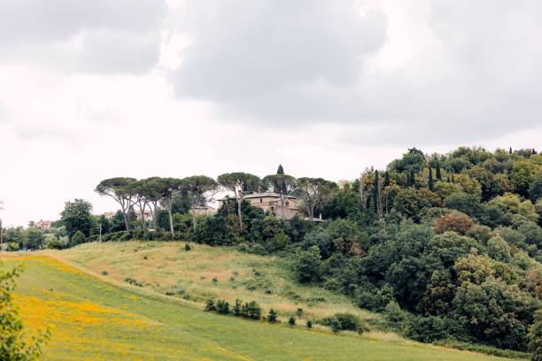 istock Tuscan Countryside Landscape 2192798961