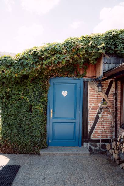 istock Charming blue door with ivy and brick. 2192798963