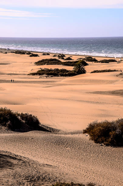 istock A beach with a few people walking on the sand 2192799135