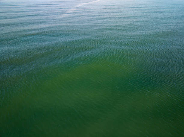 Aerial view beautiful sea surface nature background
